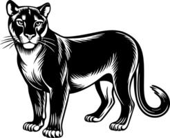 A black panther stands in front of a white background vector