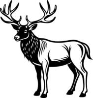 A deer with antlers stands in front of a white background vector