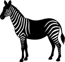 A zebra is standing in a field vector