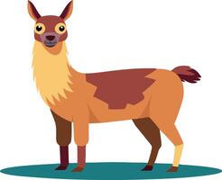 Cute cartoon llama standing on grass, isolated on white background vector