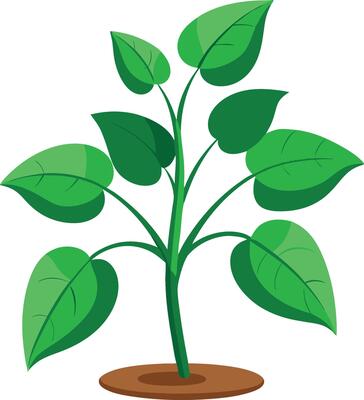 Illustration of a fresh green plant with multiple leaves growing from the soil on white background