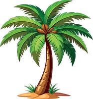 illustration of a palm tree on a white background vector