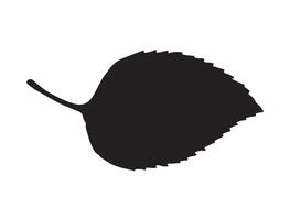 Leaf silhouette on white background vector