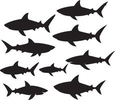 Set of shark silhouette collection white background, silhouette wild shark illustration, Set of different shark silhouette vector