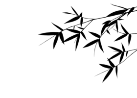 An illustration of black shadows bamboo or olive leaf branch, set against isolated background, and a compass, creating a nature-inspired design, Zen concept, Hand drawing. png