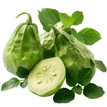 frisch Chayote quetschen mit Reben und Blätter png