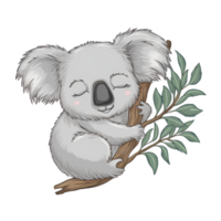 A simple yet charming line drawing of a sleepy koala png