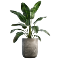 Concrete Pot Plant AI-Generative png