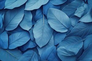 Vibrant blue hued leaf pattern creating a natural textured background photo