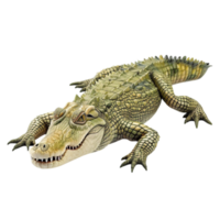 Crocodile on Transparent Background Genereted AI png