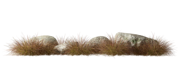 savane herbe des champs prairie avec rochers sur transparent arrière-plans 3d rendre png