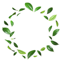 Realistic leafs flying movement swirl around circles cutout backgrounds 3d render png