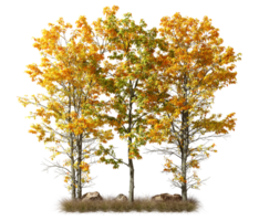 Isolate colours autumn trees with dried grass on transparent backgrounds 3d rendering png