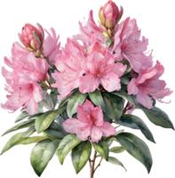 Vibrant rhododendron blossoms in digital clipart form. AI-generated. png