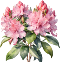 Vibrant rhododendron blossoms in digital clipart form. AI-generated. png