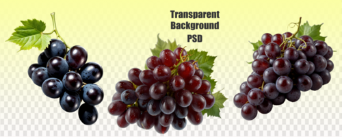 There are three distinct varieties of grapes shown on a clear background, representing natural food, fruit, and the grapevine family psd