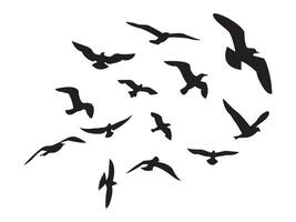 Collection of flying bird silhouettes. group of flying birds silhouette, A flock of flying birds. isolated bird flying. tattoo design. vector