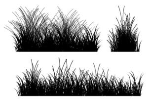grass silhouette. grass border vector