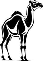 Camel, Minimalist and Simple Silhouette - illustration vector