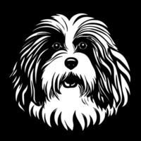 Havanese, Minimalist and Simple Silhouette - illustration vector