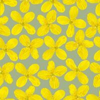 Seamless pattern of yellow celandine flowers on a gray background vector