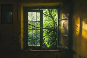 Tree branch reaching inside through old window of abandoned house photo