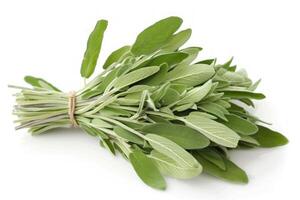 Fresh sage bundle lying on white background photo