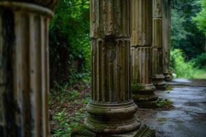 Ancient columns enveloped in nature photo