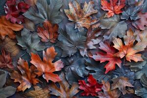 Vibrant display of autumn leaves in varying shades creating a natural mosaic photo