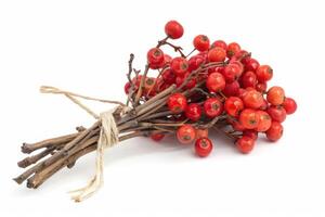 Bunch of red berries of firethorn pyracantha tied with string lying on white photo