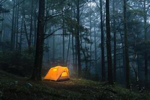 Illuminated tent camping under dark forest canopy at night photo