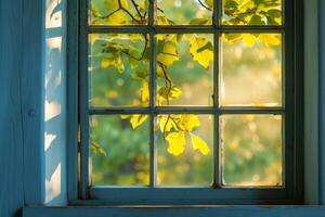 Sunlight filtering through leaves on rustic window pane photo