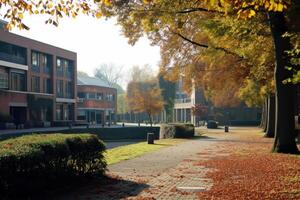 Serene fall scenery at a college campus with warm sunlight filtering through the trees photo