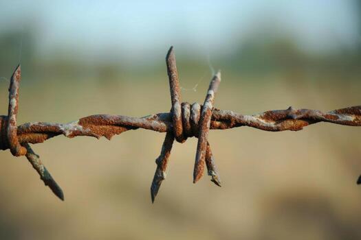 metálico mordaz cable campo de cerca. generar ai foto