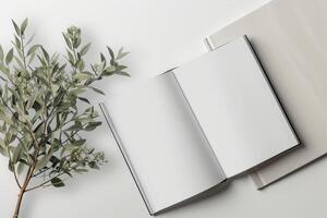 Open blank notebook with eucalyptus branch on white background photo