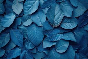 Seamless pattern of blue leaves, creating a natural textured backdrop photo