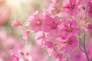 Radiant Beautiful pink flowers. Generate ai photo