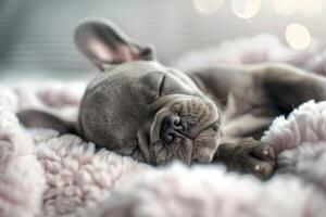 Adorable puppy asleep on a soft pink blanket with gentle bokeh lights photo