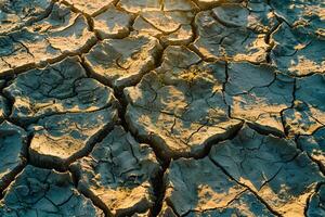 Golden sunlight casts shadows over the dry, cracked earth, highlighting texture photo