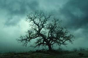 Mystical silhouette of a lone tree at twilight photo