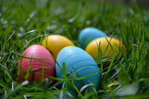 Colorful easter eggs hidden in fresh spring grass photo