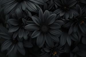 Unusual Black flowers. Generate Ai photo