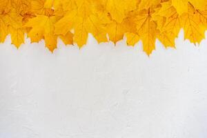Autumn leaves frame on white background top view photo