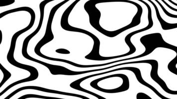 Black and white line pattern background texture animation video