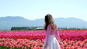 Girl in a tulip field Attractive woman walking through endless tulips field in spring. Aerial view of colorful tulips in bloom and girl. Concept. Tulips in Keukenhof gardens, Netherlands, Holland. video