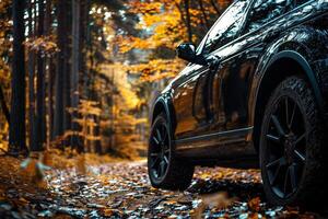 Four wheel car SUV is on road in jungle. Jeep on safari after rain. Car racing offload. photo