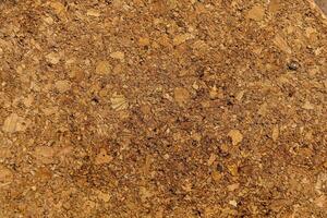 Granular material, solid wood with a structural surface for design textures. Grunge panel with rough coating photo