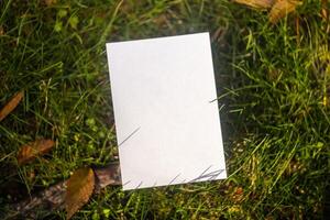 Background with paper mockup for note or message photo