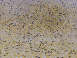 Smooth surface, yellow stone pattern. photo