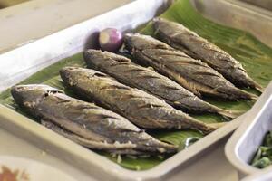 Fish food has a salty taste. Place on a square container. photo